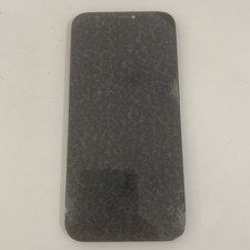 Display  Smontato Da Apple