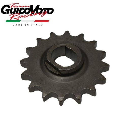 Pignone trasmissione 16 - z,