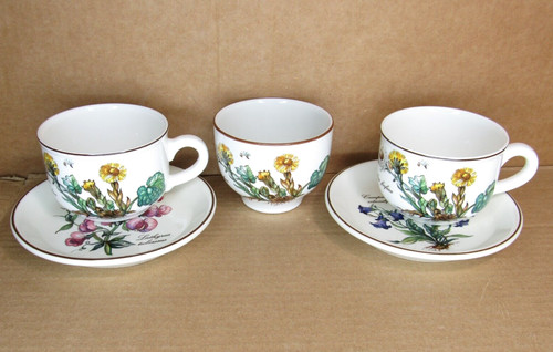 Rare villeroy boch - boch, botanica