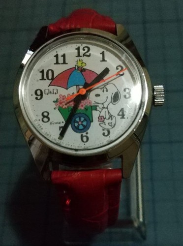Citizen snoopy 4 - q,
