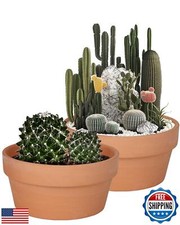 Vensovo Vaso Succulento Basso