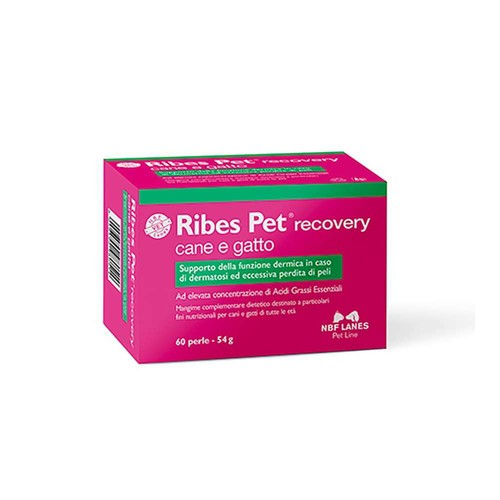 Ribes pet perle - 60,