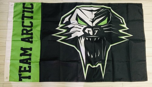 Arctic cat flag - arctic,