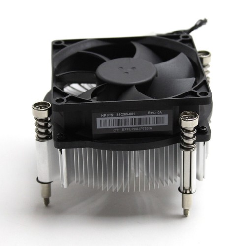 Z240 sff workstation n - hp,