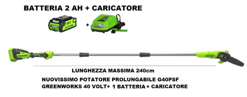 Greenworks potatore g40psf - greenworks,