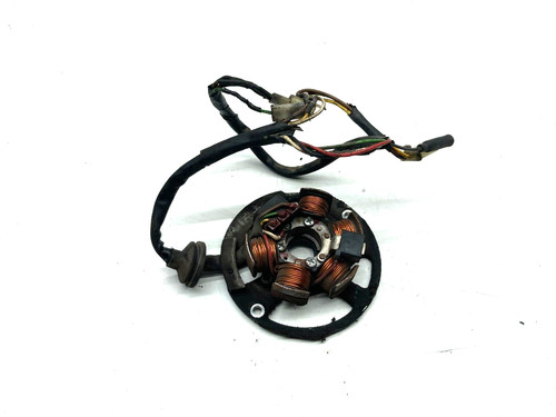 Statore alternatore magnete - statore,