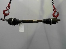 🇮🇹 TRASMISSIONE