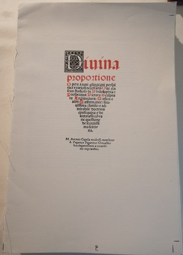 Divina proportione - divina,