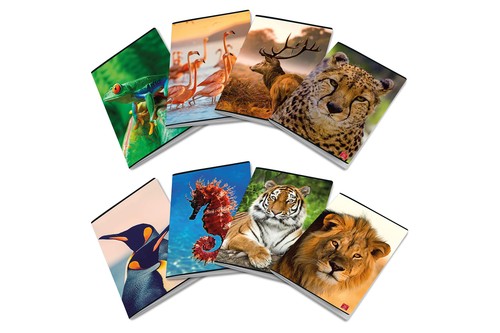 Pigna maxi quaderno animal - quaderno, f