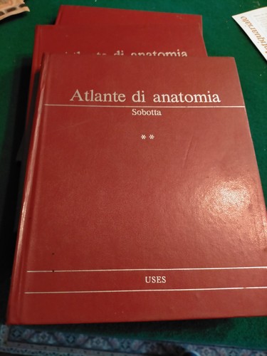 Atlante anatomia 3 - atlante,