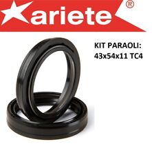 ARIETE AR053 KIT PARAOLI