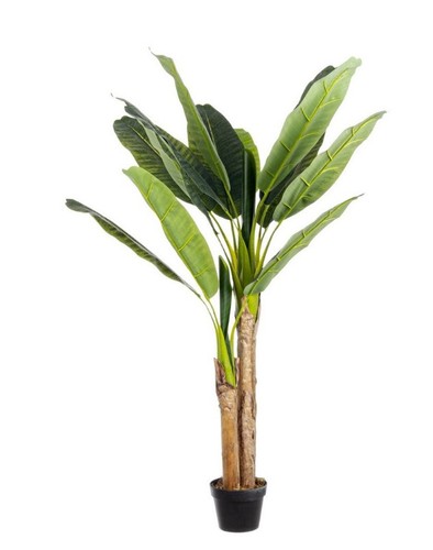 Pianta banano artificiale - di,