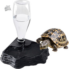 Ground Turtle Watering Can