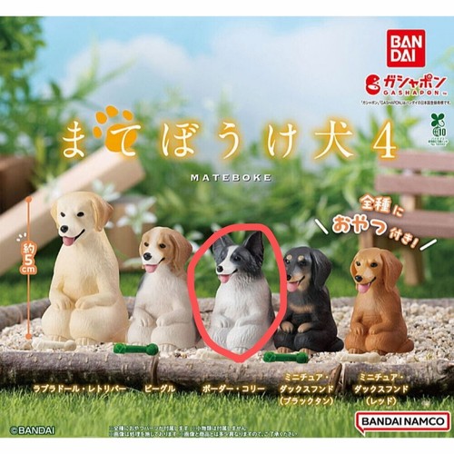 Wait second dog border - 4,
