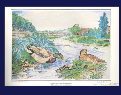 Lotto opere grafiche - lotto, (c2)