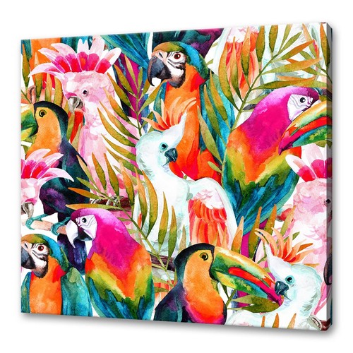Quadro colorato pappagalli