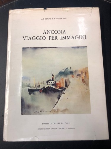 Ranuncoli ancona viaggio - a.,