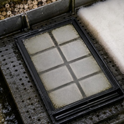 Scatola filtro acquario - filtro,
