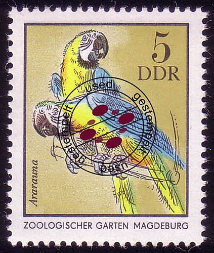 Animali dello zoo 2030 pf - 2030, 5