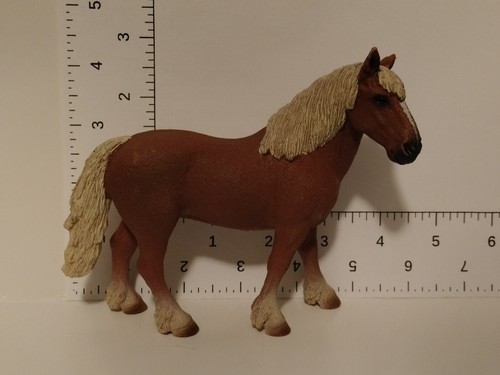 Selezione cavalli - selezione, di