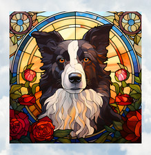 Border Collie cane finto vetro
