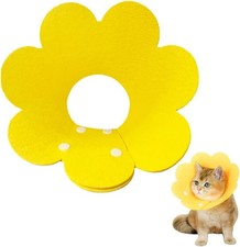 Collare Elisabettiano per