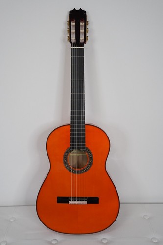 Leggendario chitarra flamenco - leggendario!,