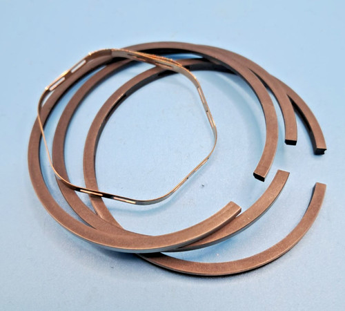 Fascia elastica del pistone - fascia,