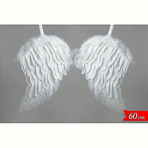 Ali piumate bianco con - bianco,
