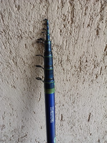 Canna pesca daiwa - canna,