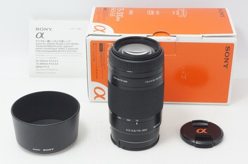 Obiettivo sony 300 mm - 75-300,