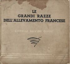 Le Grandi Razze dell'