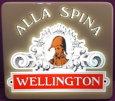 Insegna pubblicitaria luminosa