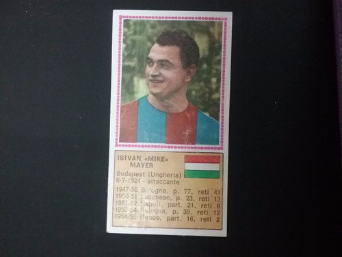 Album panini calciatori - album,