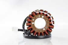 Ricks Electric Stator for