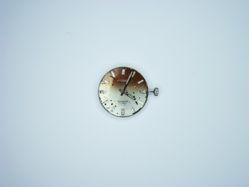 Orologio movimento citizen - orologio,