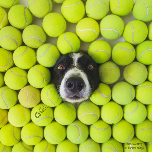 100 palline tennis usate - palline,