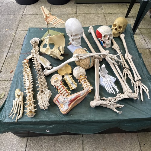Collection hospital - of,