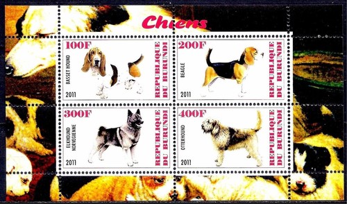 Cani bassetto segugio beagle - cani,