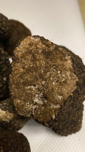 Tartufo estivo fresco 500g - tartufo,