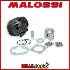 317002 gruppo termico malossi - gruppo,