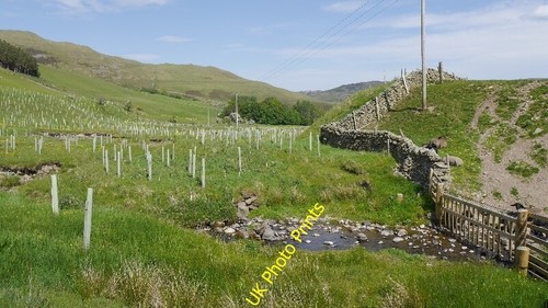 Photo 6x4 crossing the - 6x4,