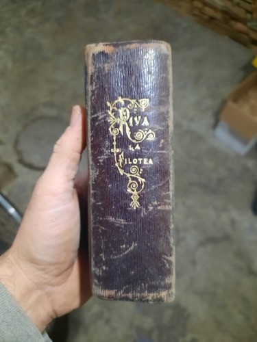 Antico libro filotea - filotea, riva