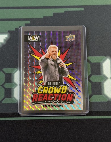 Carta 2024 allure aew crowd - 2024,