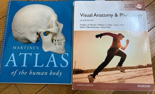 Visual anatomy and physiology - anatomy,