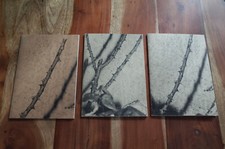 Jacopo Benassi - Sharol