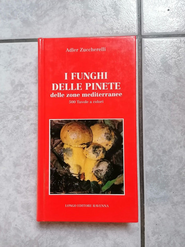 Adler zuccherelli i funghi - adler,