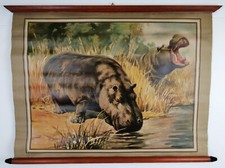 ANTONIO VALLARDI EDITORE - IPPOPOTAMO - MANIFESTO TELATO - 97X68 CM - ANNI 30