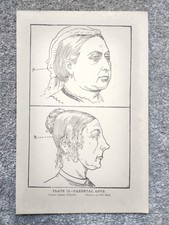 Parental Love - Phrenology -