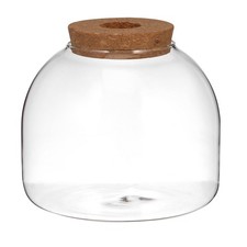 Vaso per terrario in per piante - Contenitore per piante grasse - Vaso